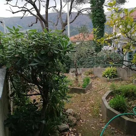 Casa Dana Prázdninový dům